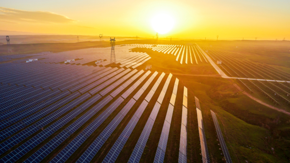 sunset across solar panels
