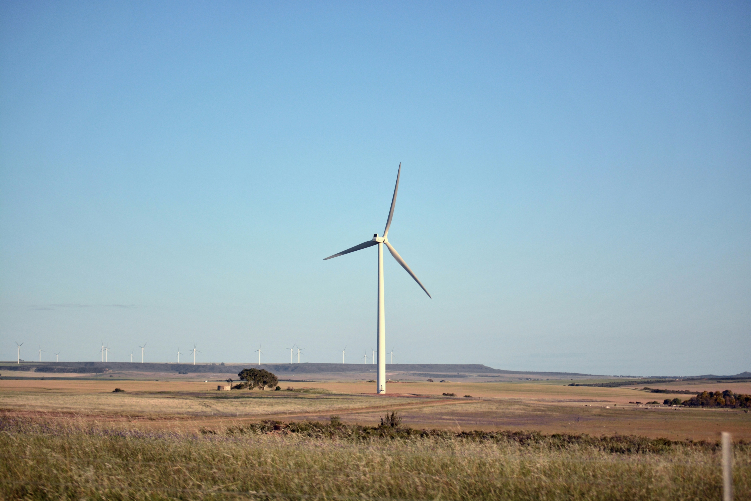 wind turbine in field